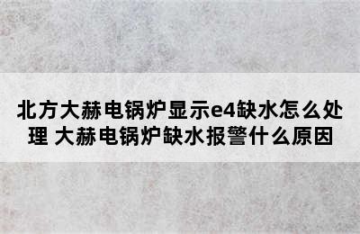 北方大赫电锅炉显示e4缺水怎么处理 大赫电锅炉缺水报警什么原因